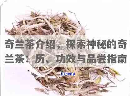 兰茶有什么功效-兰茶有什么功效和作用