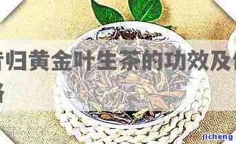 昔归黄金叶生茶：功效与评价全解析