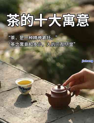 每日一茶分享：解读每日一茶的含义与背后故事