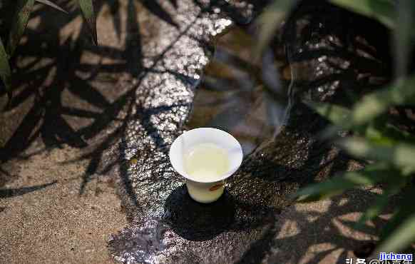 每日茶言茶语：每日一句人生感悟，品味生活的茶香