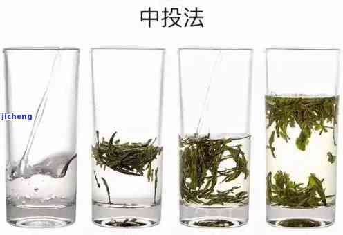 哪种茶不需要洗茶叶？绿茶、乌龙茶和黄茶无需洗茶，白茶和普洱茶则需要。