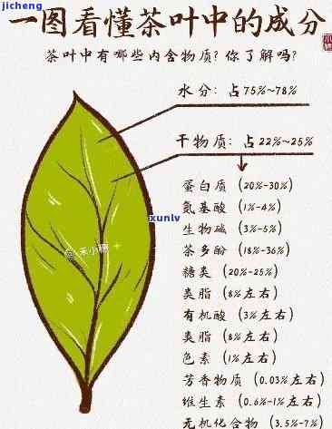 哪种茶最有营养，探究茶叶中的营养成分：哪种茶营养价值最高？