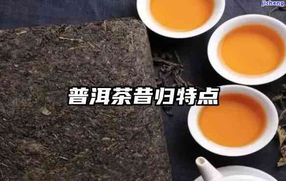 普洱茶昔归是什么意思，解密普洱茶：探讨昔归的含义与特点