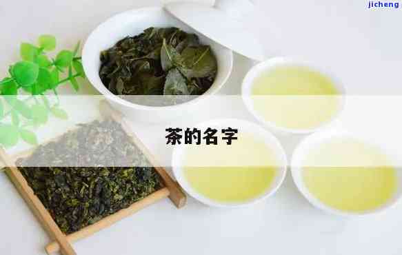 精选老茶名推荐：好听又特别的茶叶名字大全