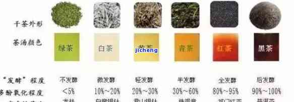 扁茶系列：探究扁茶的各种茶名与品种