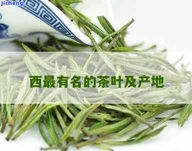 西有哪些茶叶？探索西茶叶品种与