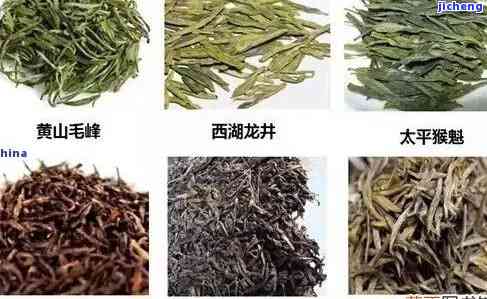 西有哪些茶叶？探索西茶叶品种与