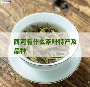 西有哪些茶叶？探索西茶叶品种与