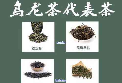 中国都有哪些茶叶，探秘中国茶文化：熟悉各大茶叶的特别魅力！