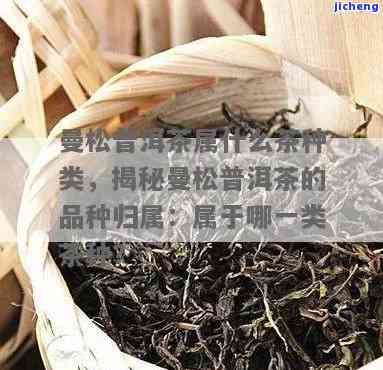 普洱曼松茶特点-普洱曼松茶特点是什么