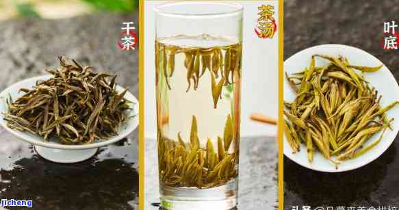 茶都有哪些品种，探秘茶：熟悉可选的茶叶品种