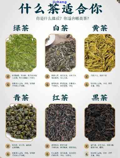 茶都有哪些品种，探秘茶：熟悉可选的茶叶品种