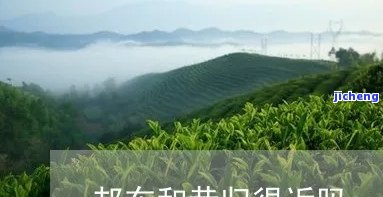 昔归属于邦东吗？探析昔归邦东、邦泰茶业的关系