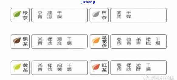 珠茶等级划分：标准与分类全解析