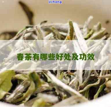 春茶有什么区别和作用，探秘春茶：种类、区别与健功效全解析