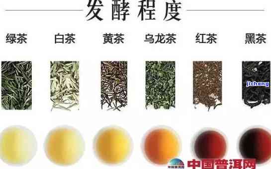 发酵茶有哪些茶品种？熟悉各类发酵茶及其图片与名称