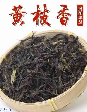 黄枝香是什么茶类，探秘茶叶世界：黄枝香属于哪种茶类？