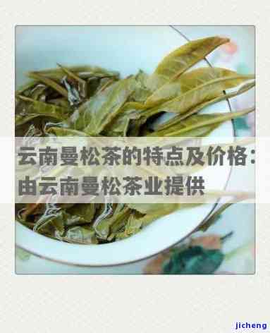 曼松茶外形特点-曼松茶外形特点是什么