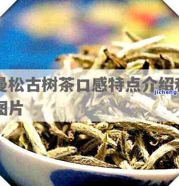 曼松茶外形特点-曼松茶外形特点是什么