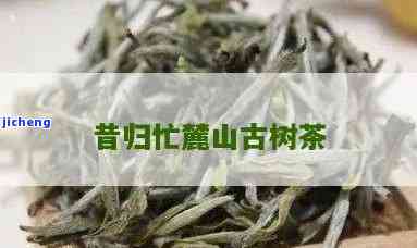 昔归忙麓山特点-昔归忙麓山古树茶特点