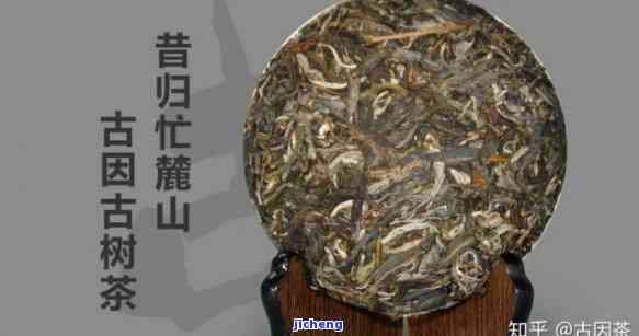 昔归忙麓山特点-昔归忙麓山古树茶特点