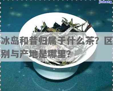 昔归和冰岛的区别：地理距离与茶业公司解析