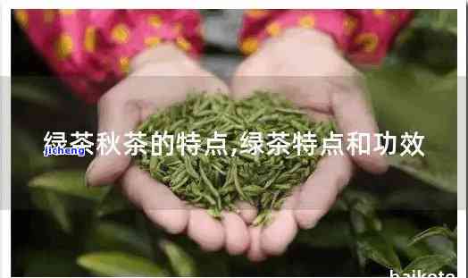 秋茶有什么特点和作用，探秘秋茶：特点与功效全解析