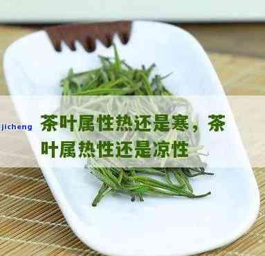 哪些茶是凉性的呢？热性、性还是凉性？全面解析茶叶性质