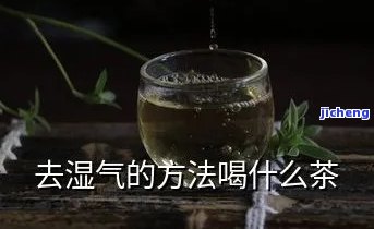 哪些茶能去湿气-哪些茶能去湿气和寒气