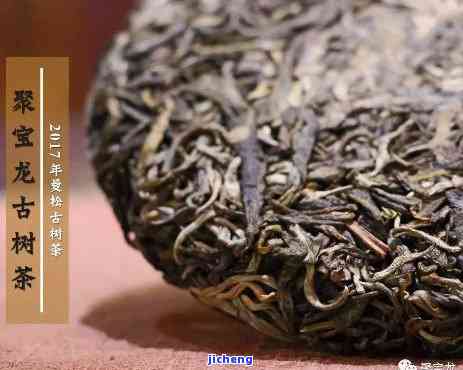 探索曼松茶历：视频大全、最新资讯与精美图片