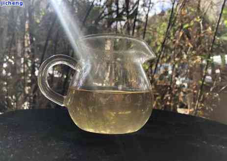 昔归春茶和秋茶的区别，探秘昔归春茶与秋茶的不同之处