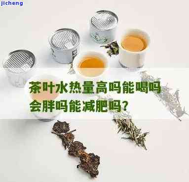 茶有多少卡路里能减肥，探讨茶叶的热量：多少卡路里可以帮助减肥？