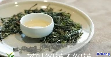 哪种茶不解药，解药克星：揭秘能解除作用的神奇茶叶