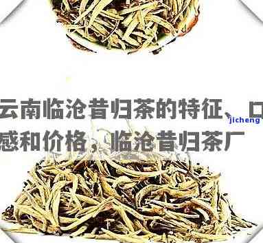 临沧昔归茶厂，探秘云南临沧昔归茶厂：历悠久的制茶工艺与特别口感