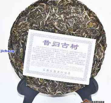 昔归古树茶的特点口感，探秘昔归古树茶的特别口感特性