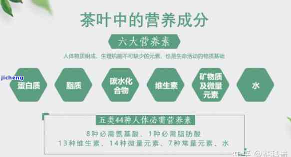 茶水营养成分表100克，揭秘茶水的营养成分：100克内究竟含有哪些有益元素？