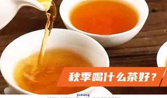 秋喝什么茶好-秋喝什么茶好喝