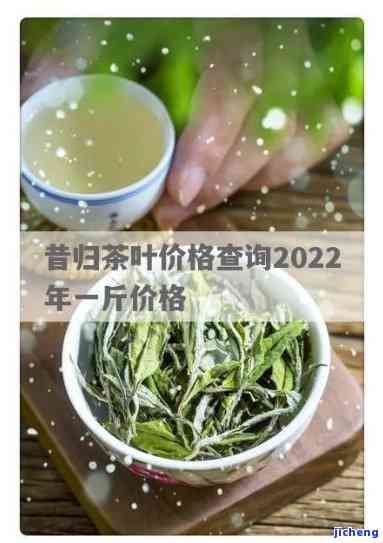 昔归古树茶2022年价格：多少钱一斤？所属档次解析