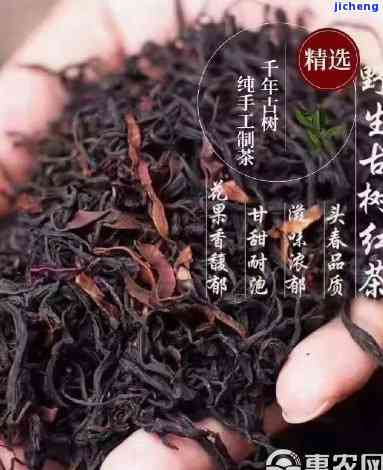 昔归料古树红茶-昔归古树红茶价格