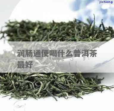 通便喝什么茶好-润肠通便喝什么茶