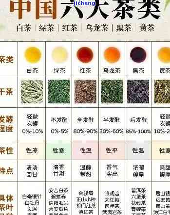 北方常喝的茶：种类与惯全揭秘