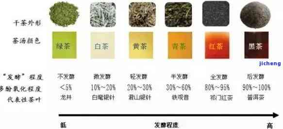 茶是怎么分类的-茶是怎么分类的?共分几类?