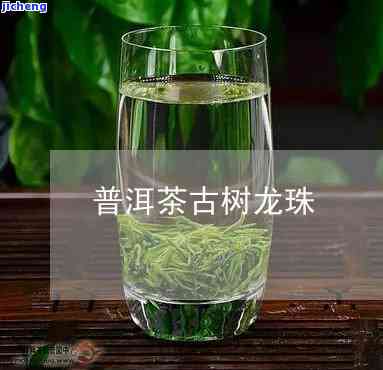 龙珠古树纯料：揭示神秘茶叶的秘密