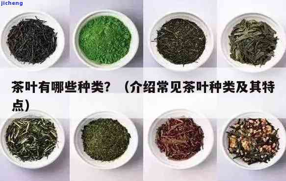 特种茶：种类、茶叶及茶类全解析