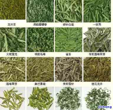 特种茶有哪几种-特种茶有哪几种品种