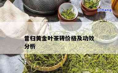 昔归金条茶：价格与品种全面解析