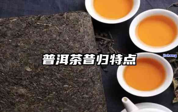 昔归普洱的特点-昔归普洱茶特点