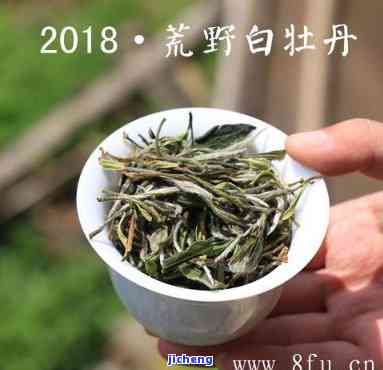 白化茶有多少种品种，探索茶叶世界：熟悉白化茶的多样品种