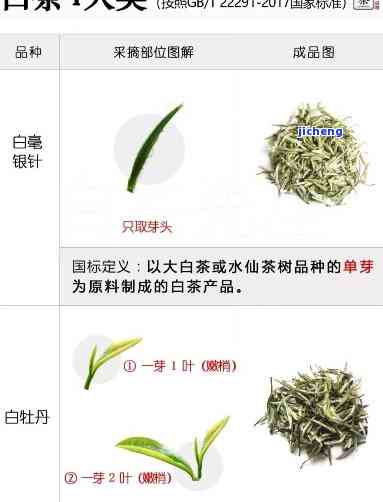 白化茶：定义、种类与分类全解析