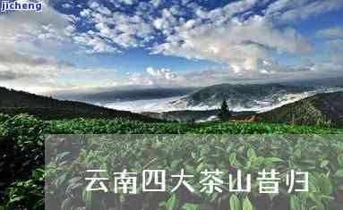 昔归茶山能买吗-昔归茶山位置